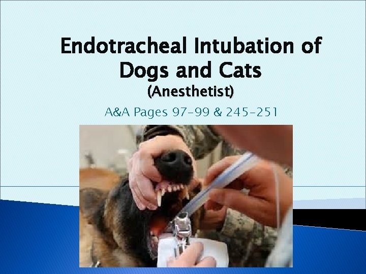 Endotracheal Intubation of Dogs and Cats (Anesthetist) A&A Pages 97 -99 & 245 -251