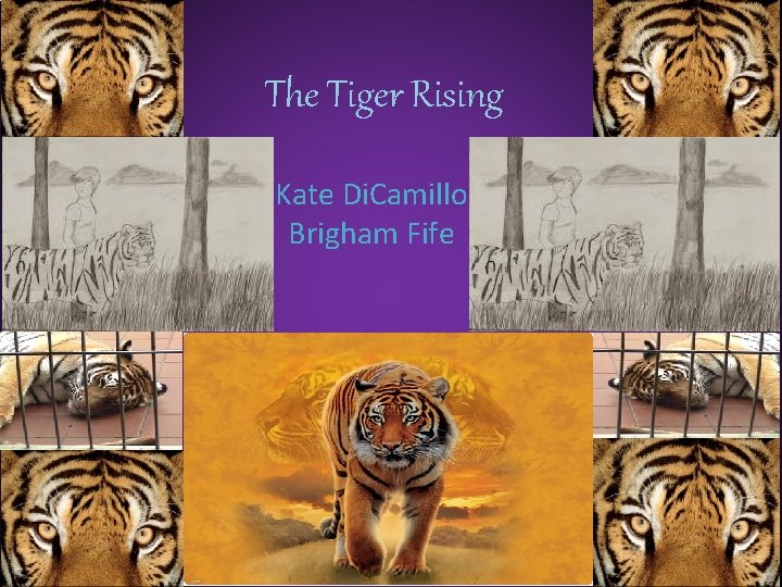 The Tiger Rising Kate Di. Camillo Brigham Fife 