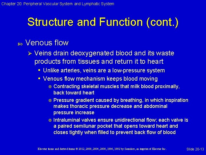 Chapter 20: Peripheral Vascular System and Lymphatic System Structure and Function (cont. ) Venous