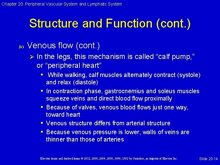 Chapter 20: Peripheral Vascular System and Lymphatic System Structure and Function (cont. ) Venous