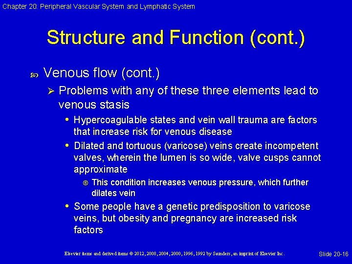 Chapter 20: Peripheral Vascular System and Lymphatic System Structure and Function (cont. ) Venous