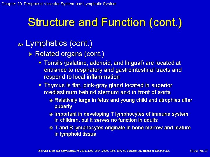 Chapter 20: Peripheral Vascular System and Lymphatic System Structure and Function (cont. ) Lymphatics