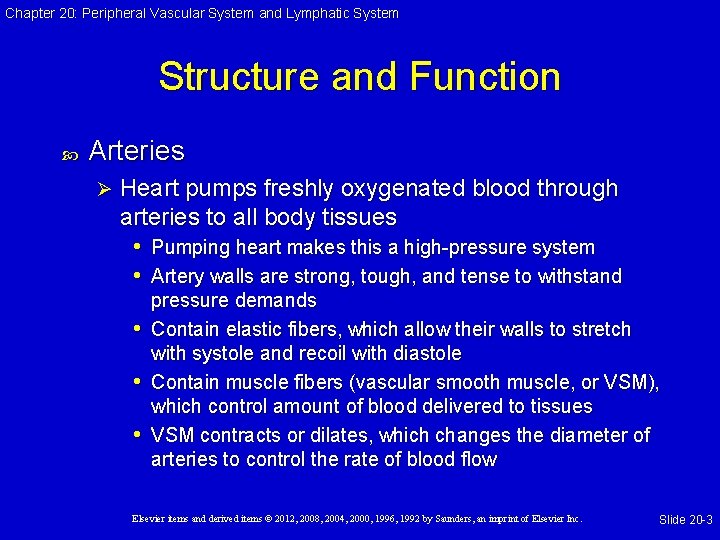 Chapter 20: Peripheral Vascular System and Lymphatic System Structure and Function Arteries Ø Heart