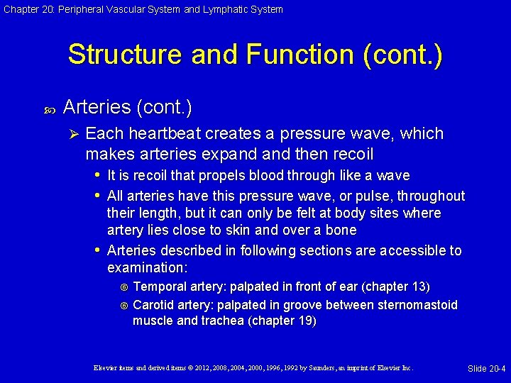 Chapter 20: Peripheral Vascular System and Lymphatic System Structure and Function (cont. ) Arteries