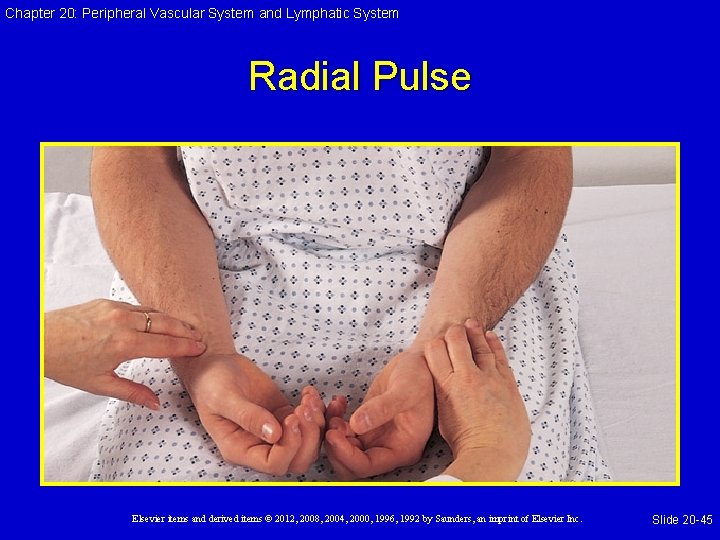 Chapter 20: Peripheral Vascular System and Lymphatic System Radial Pulse Elsevier items and derived