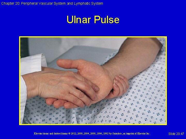 Chapter 20: Peripheral Vascular System and Lymphatic System Ulnar Pulse Elsevier items and derived