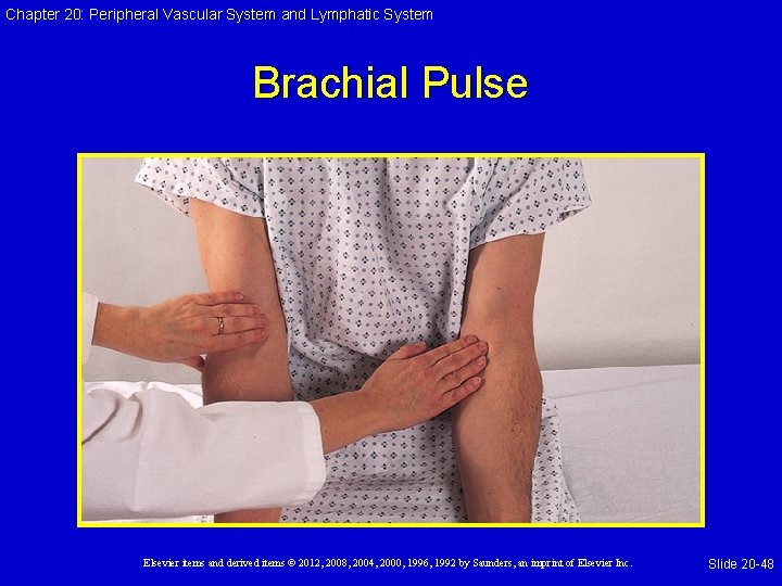 Chapter 20: Peripheral Vascular System and Lymphatic System Brachial Pulse Elsevier items and derived