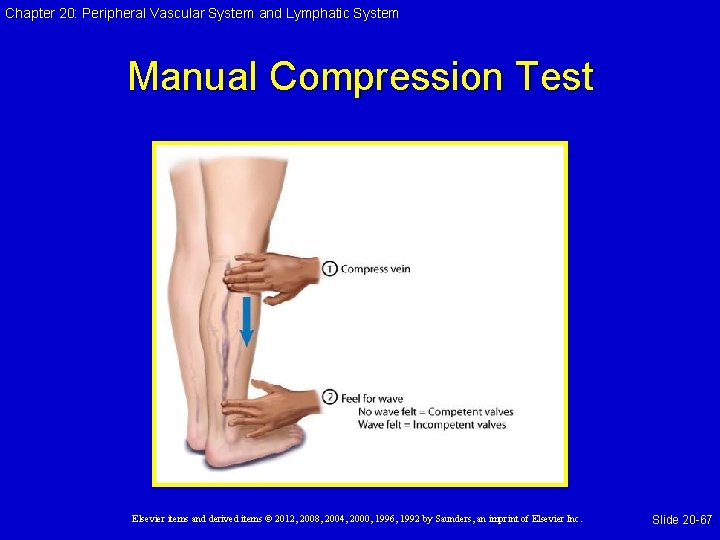 Chapter 20: Peripheral Vascular System and Lymphatic System Manual Compression Test Elsevier items and