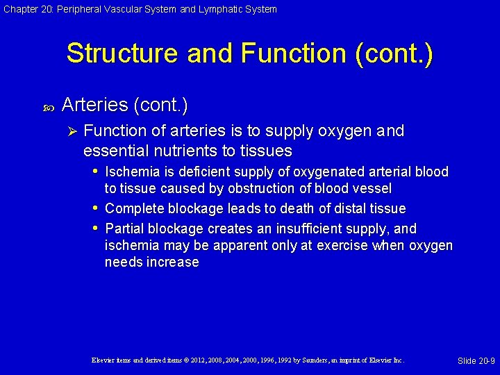 Chapter 20: Peripheral Vascular System and Lymphatic System Structure and Function (cont. ) Arteries