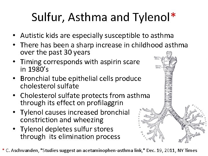 Sulfur, Asthma and Tylenol* • Autistic kids are especially susceptible to asthma • There