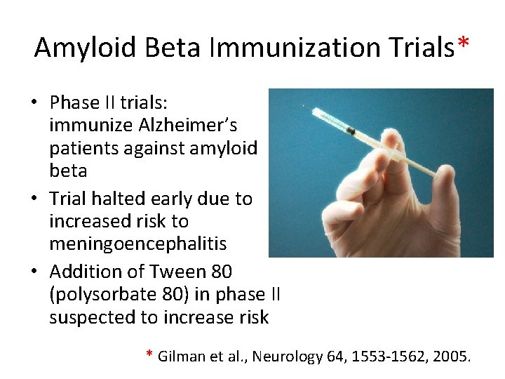 Amyloid Beta Immunization Trials* • Phase II trials: immunize Alzheimer’s patients against amyloid beta