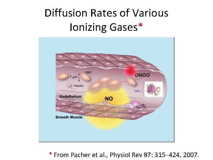 Diffusion Rates of Various Ionizing Gases* * From Pacher et al. , Physiol Rev