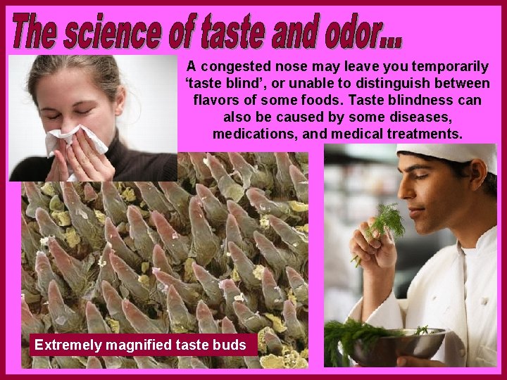 A congested nose may leave you temporarily ‘taste blind’, or unable to distinguish between