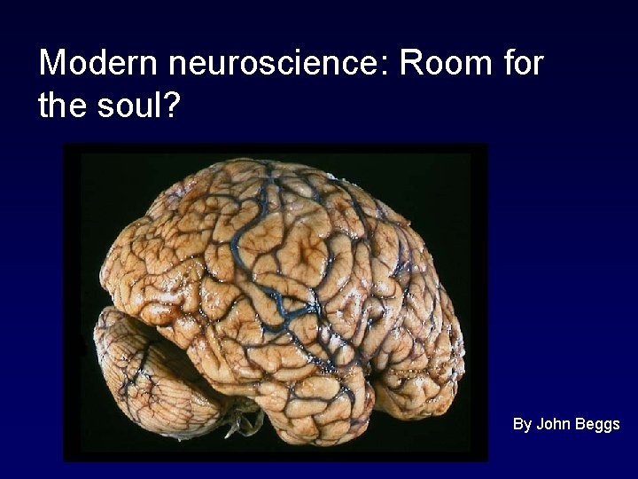 Modern neuroscience: Room for the soul? By John Beggs 