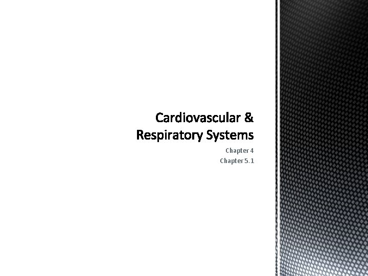Chapter 4 Chapter 5 1 CardiovascularCirculatory System Function