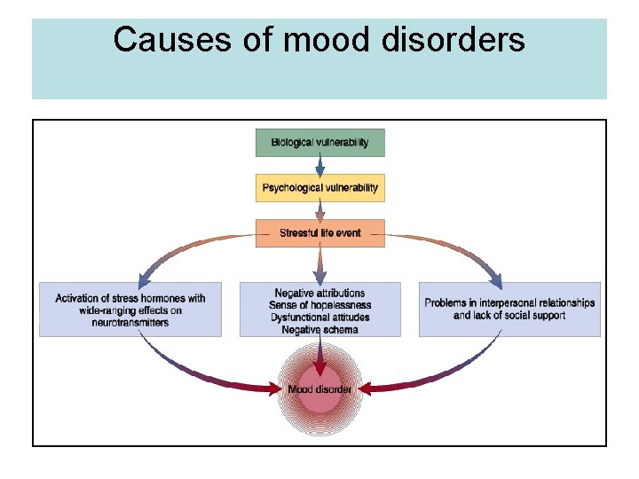 Causes of mood disorders 