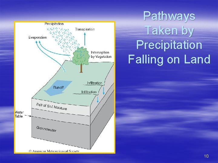 Pathways Taken by Precipitation Falling on Land 10 