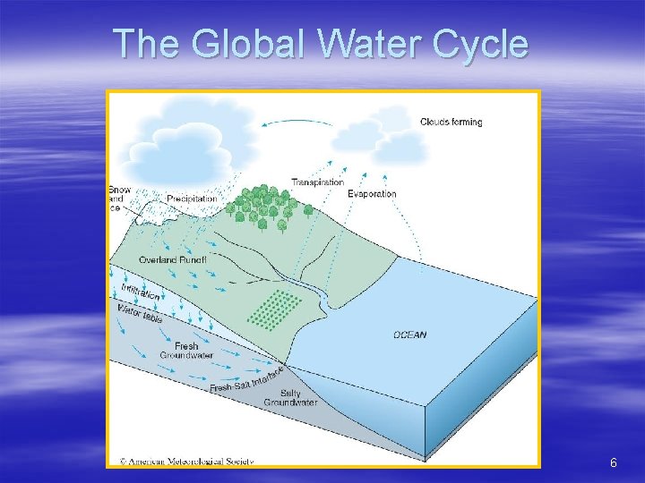 The Global Water Cycle 6 