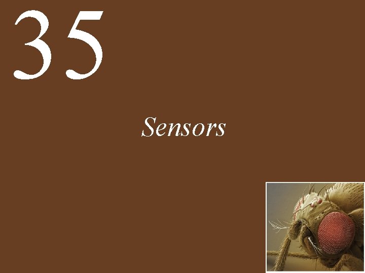 35 Sensors 