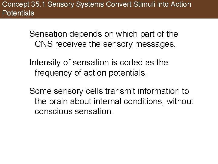 Concept 35. 1 Sensory Systems Convert Stimuli into Action Potentials Sensation depends on which