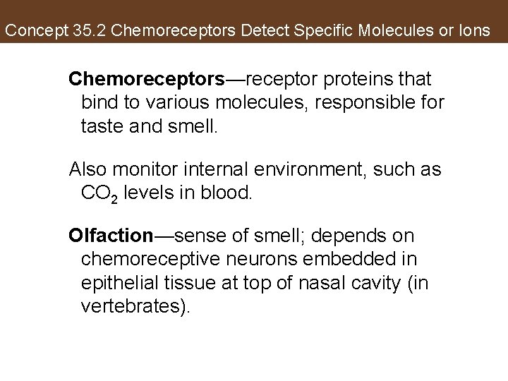 Concept 35. 2 Chemoreceptors Detect Specific Molecules or Ions Chemoreceptors—receptor proteins that bind to