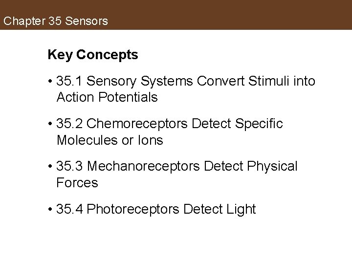 Chapter 35 Sensors Key Concepts • 35. 1 Sensory Systems Convert Stimuli into Action