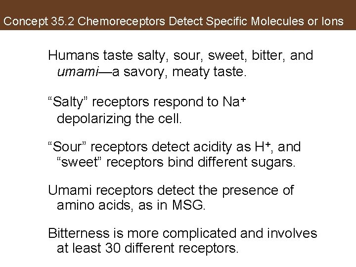 Concept 35. 2 Chemoreceptors Detect Specific Molecules or Ions Humans taste salty, sour, sweet,