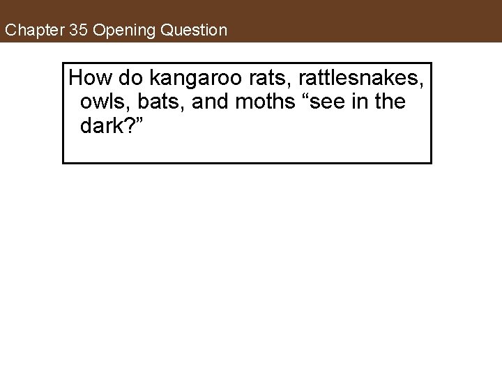 Chapter 35 Opening Question How do kangaroo rats, rattlesnakes, owls, bats, and moths “see