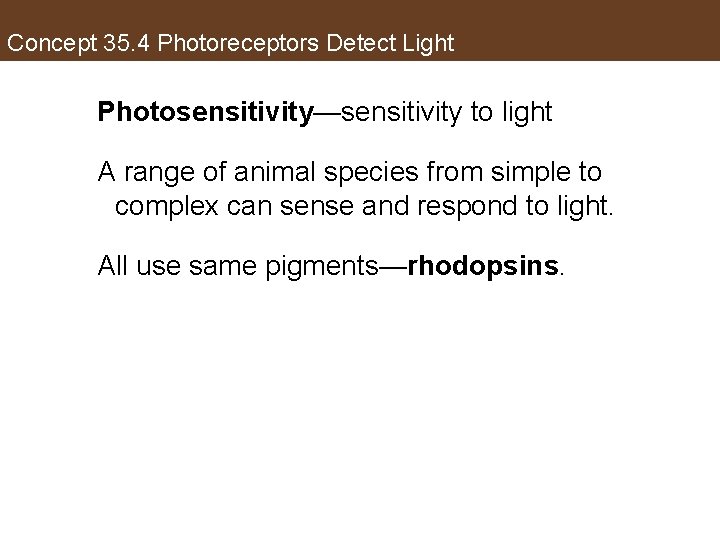 Concept 35. 4 Photoreceptors Detect Light Photosensitivity—sensitivity to light A range of animal species