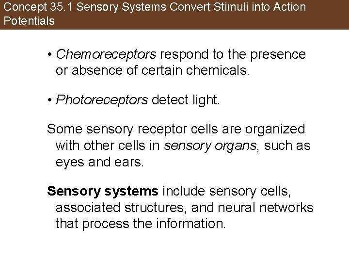 Concept 35. 1 Sensory Systems Convert Stimuli into Action Potentials • Chemoreceptors respond to