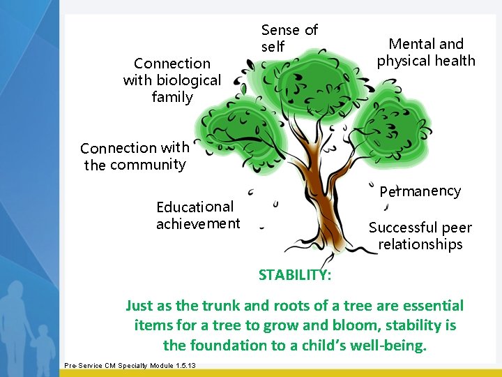 Connection with biological family Sense of self Mental and physical health Connection with the Connection with biological family Sense of self Mental and physical health Connection with the