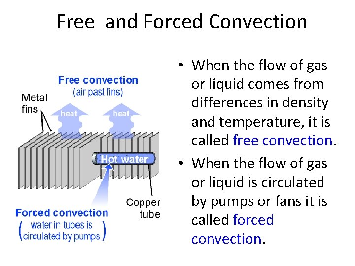 Free and Forced Convection • When the flow of gas or liquid comes from