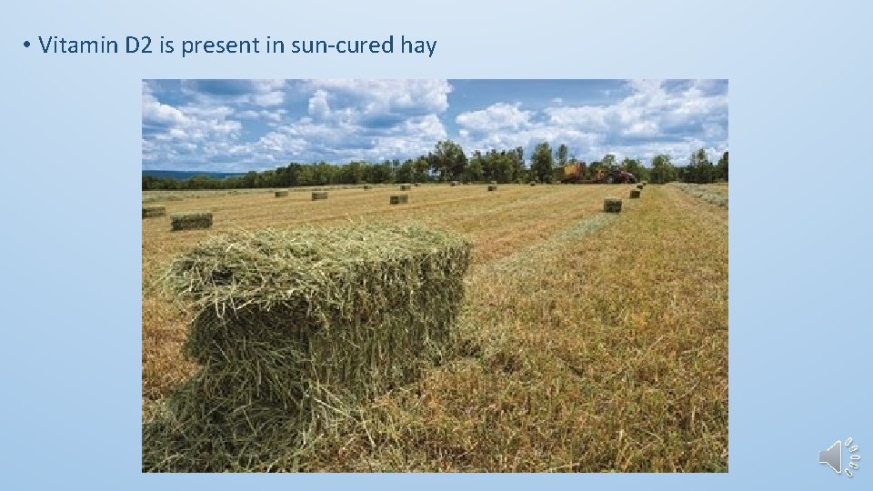  • Vitamin D 2 is present in sun-cured hay 