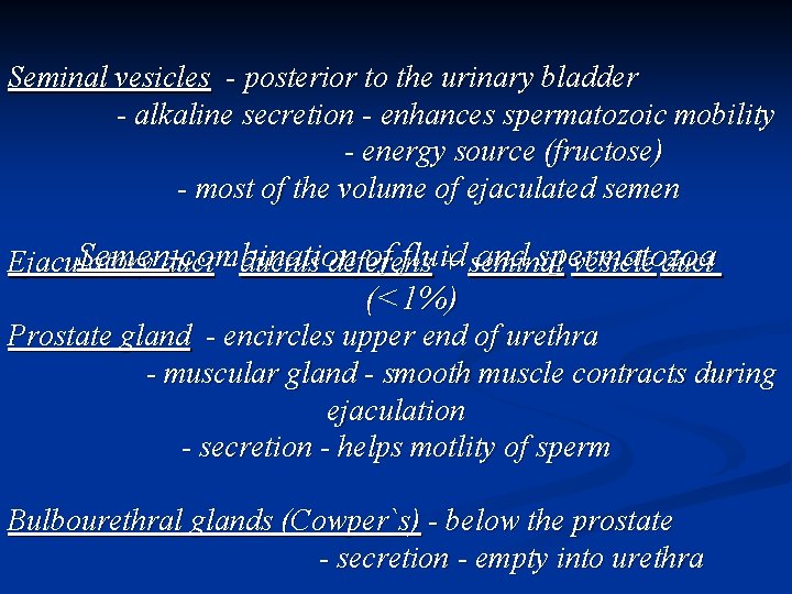 Seminal vesicles - posterior to the urinary bladder - alkaline secretion - enhances spermatozoic