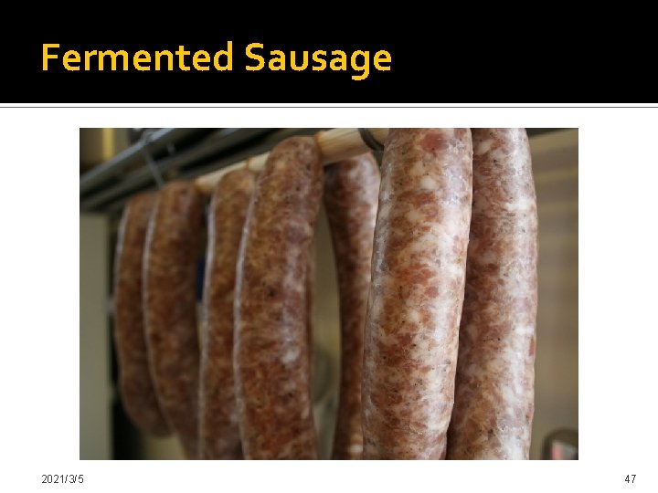 Fermented Sausage 2021/3/5 47 