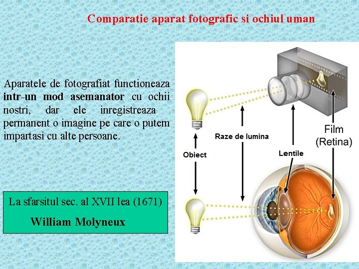 Comparatie aparat fotografic si ochiul uman Aparatele de fotografiat functioneaza intr-un mod asemanator cu