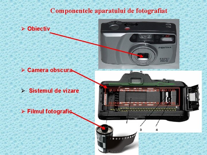 Componentele aparatului de fotografiat Ø Obiectiv Ø Camera obscura Ø Sistemul de vizare Ø