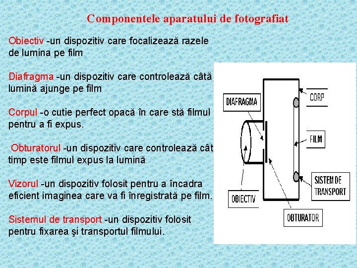 Componentele aparatului de fotografiat Obiectiv -un dispozitiv care focalizează razele de lumina pe film