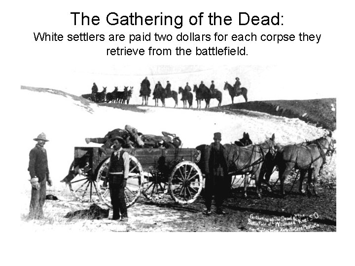 The Gathering of the Dead: White settlers are paid two dollars for each corpse