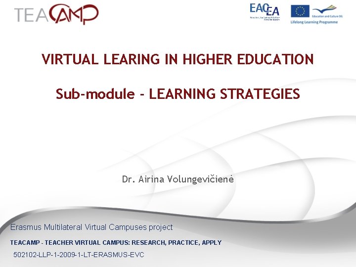 VIRTUAL LEARING IN HIGHER EDUCATION Sub-module - LEARNING STRATEGIES Dr. Airina Volungevičienė Erasmus Multilateral