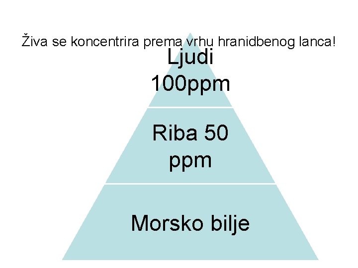 Živa se koncentrira prema vrhu hranidbenog lanca! Ljudi 100 ppm Riba 50 ppm Morsko