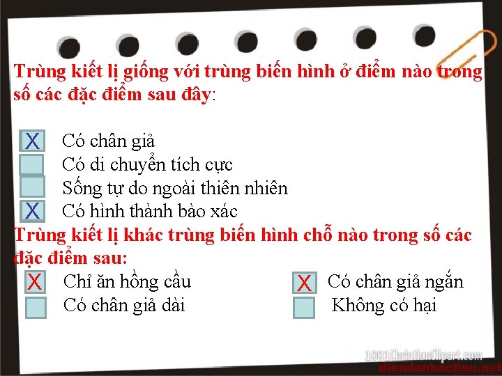 Trùng kiết lị giống với trùng biến hình ở điểm nào trong số các