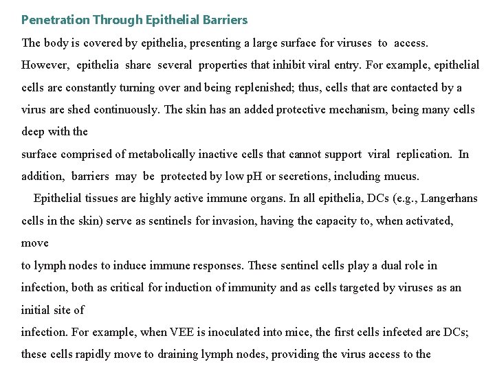 Penetration Through Epithelial Barriers The body is covered by epithelia, presenting a large surface