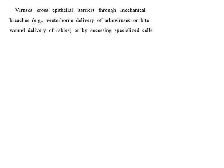 Viruses cross epithelial barriers through mechanical breaches (e. g. , vectorborne delivery of arboviruses