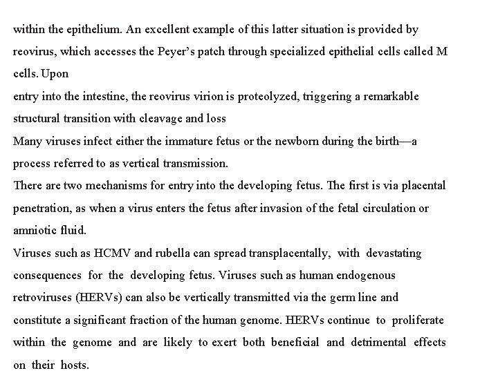 within the epithelium. An excellent example of this latter situation is provided by reovirus,