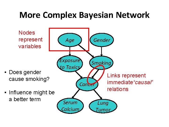 More Complex Bayesian Network Nodes represent variables • Does gender cause smoking? • Influence