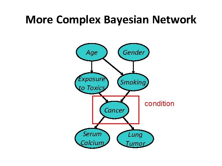 More Complex Bayesian Network Age Gender Exposure to Toxics Smoking Cancer Serum Calcium condition