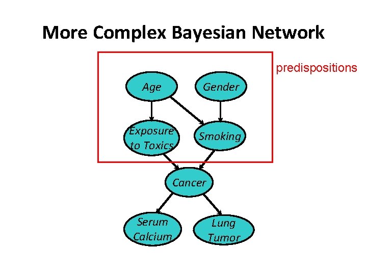More Complex Bayesian Network predispositions Age Gender Exposure to Toxics Smoking Cancer Serum Calcium