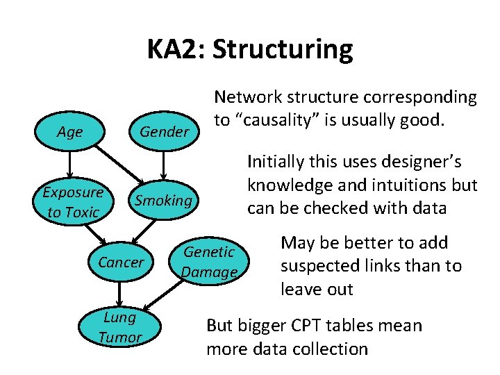 KA 2: Structuring Age Gender Exposure to Toxic Network structure corresponding to “causality” is