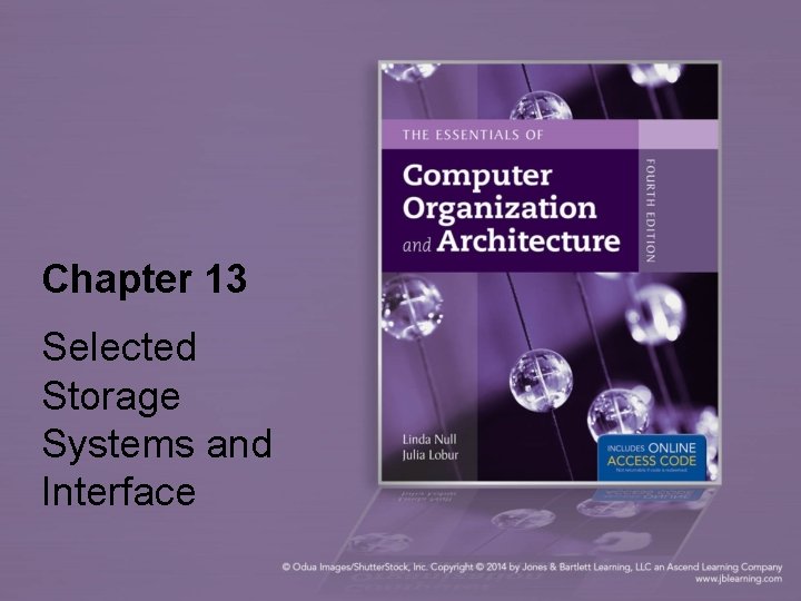 Chapter 13 Selected Storage Systems and Interface 